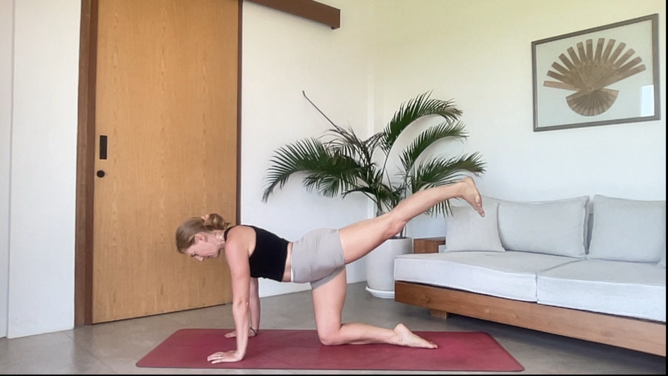 Hips & Pelvic Stability
